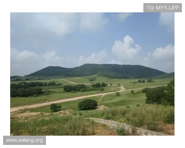 尊龙人生就是首页：如何在平凡中发现不平凡的人生价值