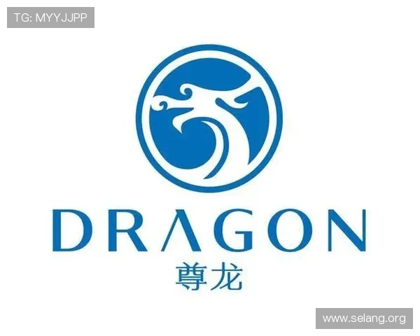 尊龙D88集团的品牌建设与市场推广策略对行业发展的积极影响分析