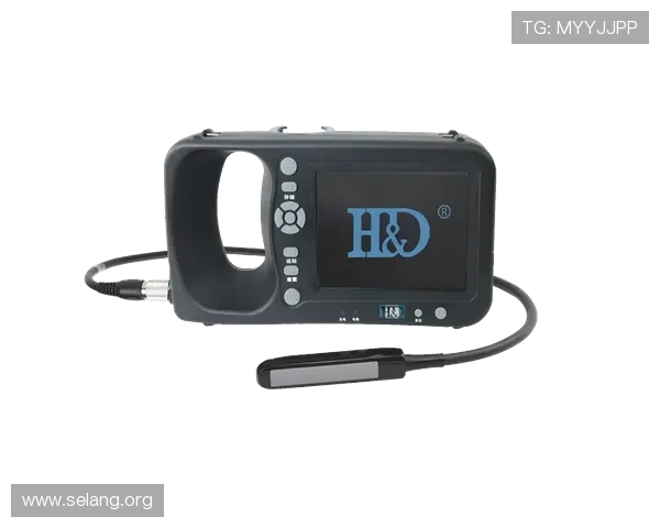 走进尊龙凯时手机官网，体验无与伦比的在线博彩乐趣