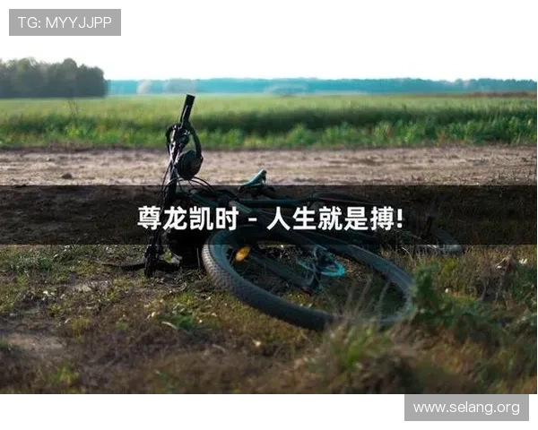 尊龙凯时人生就搏：探索游戏中的人生哲理与成功秘诀